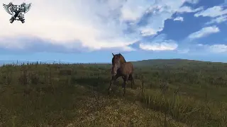 奇迹私服版本大揭秘：从经典到创新，你pick哪一款？ 海报