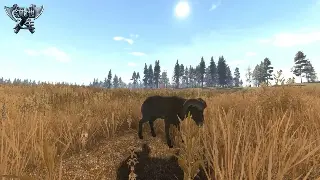 奇迹MU游戏历史：从辉煌到经典，再到永恒的记忆