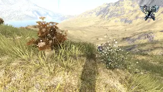 奇迹新手启航：初期快速升级与生存指南，助你勇闯大陆！